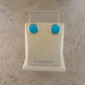Sleeping Beauty Turquoise Stud Earrings
